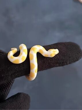 New! White and Yellow Snake Wrap Ring. Adjustable Snake ring 🐍  (A2-88)
